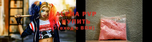 стаф Касимов
