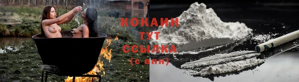 гидра Карталы