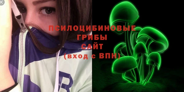 стаф Касимов
