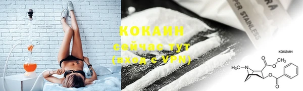 индика Киреевск