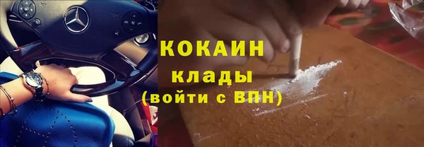 индика Киреевск