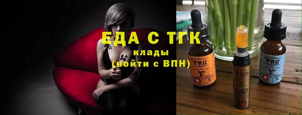 индика Киреевск