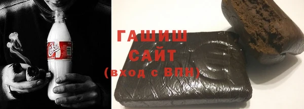 индика Киреевск