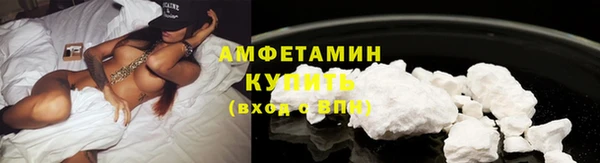 стаф Касимов