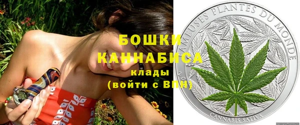 гидра Карталы
