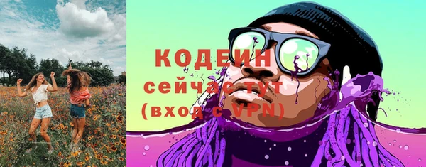 стаф Касимов