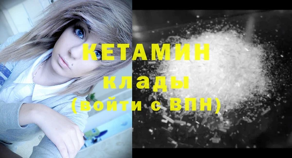 стаф Касимов
