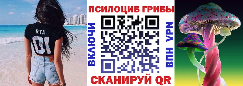 закладки  Котельнич  Псилоцибиновые грибы мухоморы 